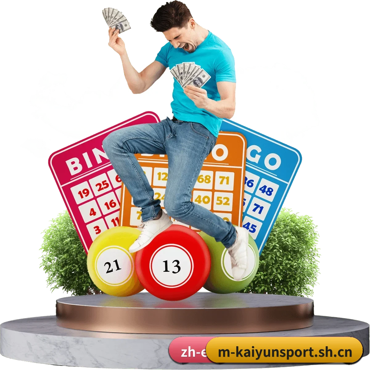 开云体育 APP 界面
